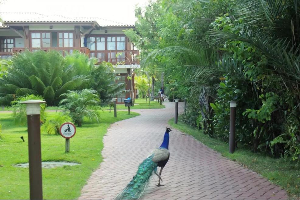 Villa Da Enseada, Praia Do Forte Dış mekan fotoğraf