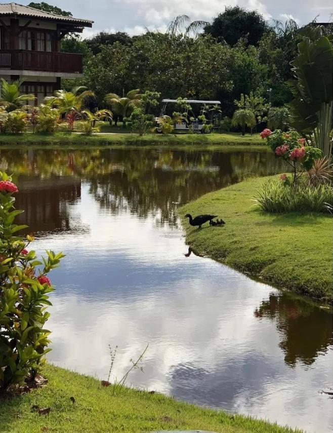 Villa Da Enseada, Praia Do Forte Dış mekan fotoğraf